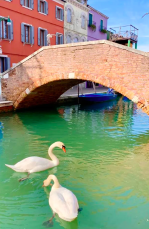 The canals in Venice are running clear