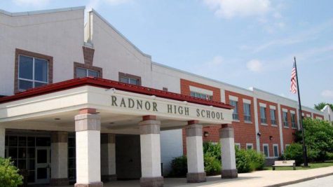 Gerry Atkinson's Top Picks for Radnor's New Mascot