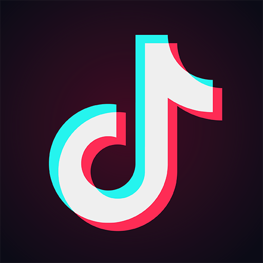 Reviewing the TikTok Ban and its Implications