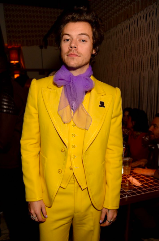 Harry Styles: Dismantling Toxic Masculinity One Dress at a Time – Radnorite