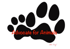 Advocate for Animals