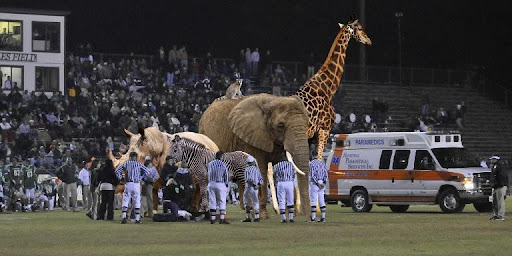 Dozens Wounded During Stampede at Radnor High School Football Game