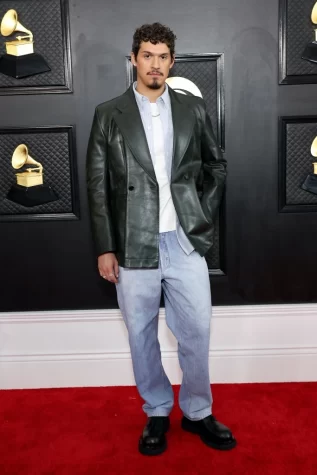 Grammys 2023 Red Carpet Arrivals (Photos)