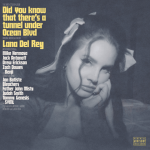 Album Review: Did You Know That There’s a Tunnel Under Ocean Blvd