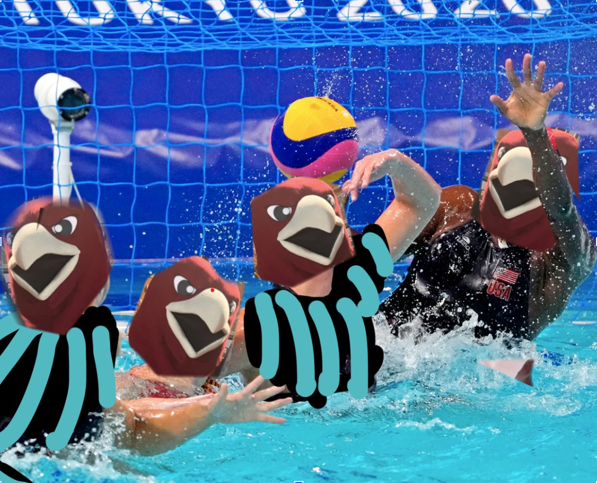 Radnor Sports Rounddown 25-26: Edition #17